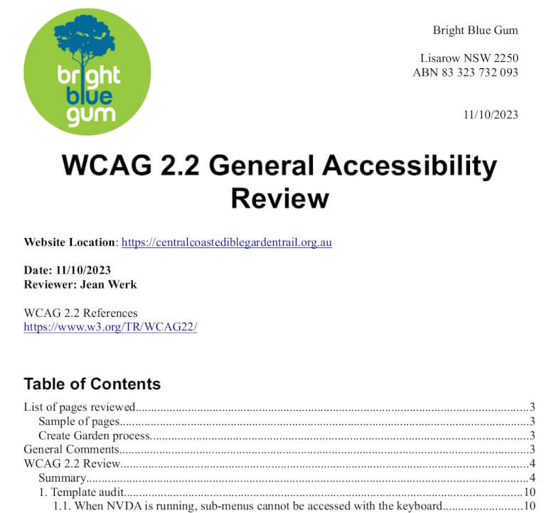1st page of a the Web Accessibility audit